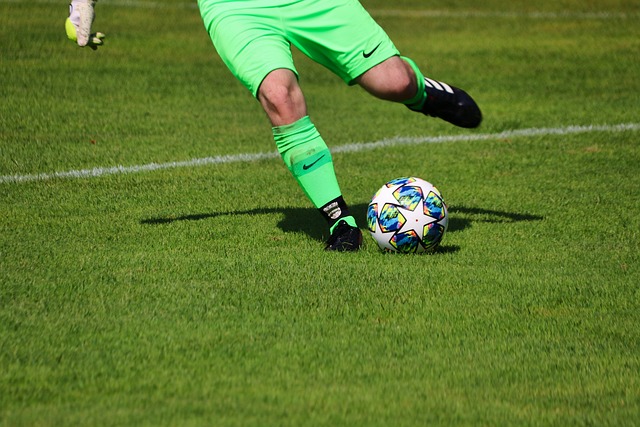 的表现堪称 的表现堪称