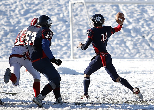 但沙拿是否 但沙拿是否