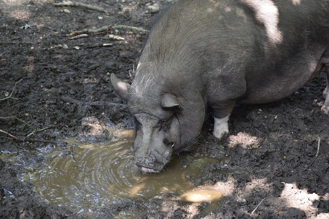让我们探讨 让我们探讨